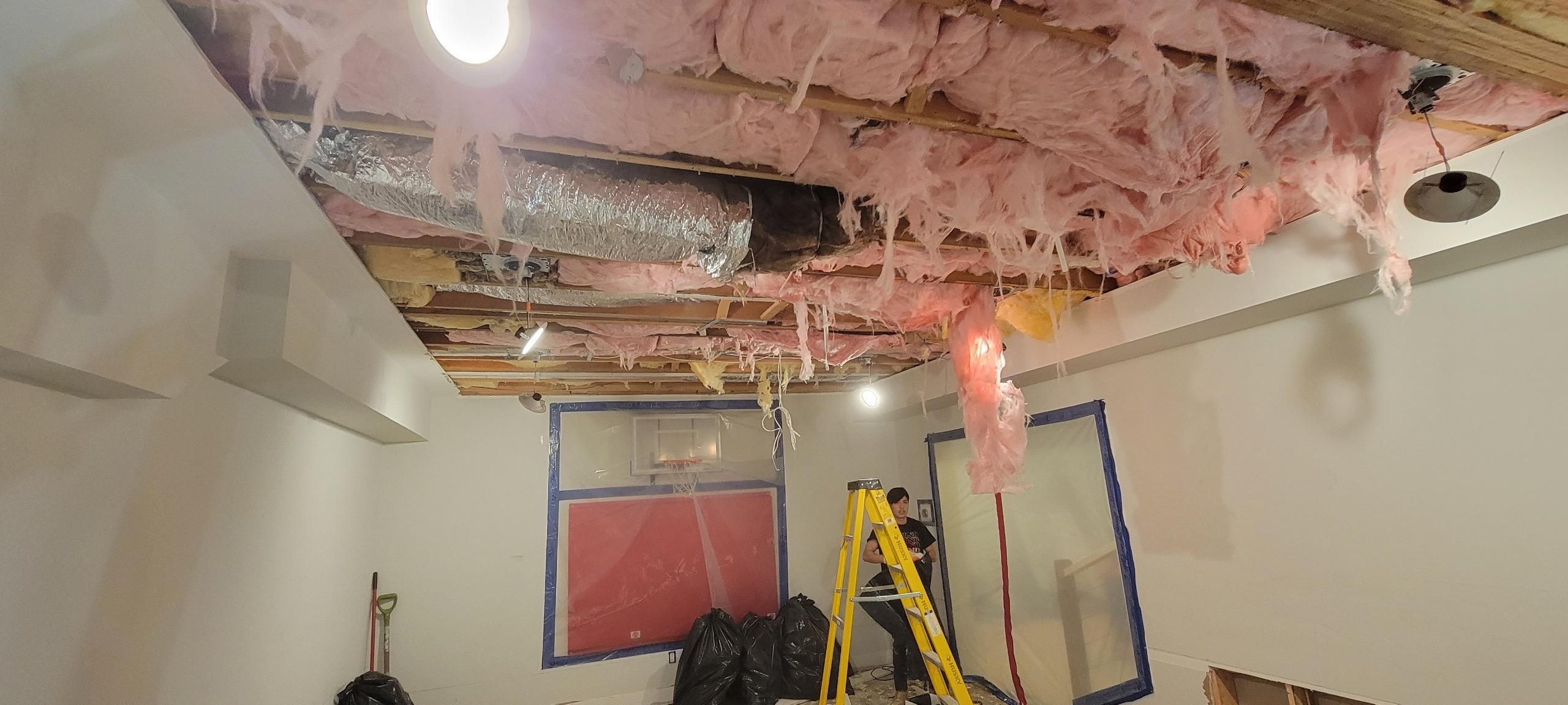 Insulation removal