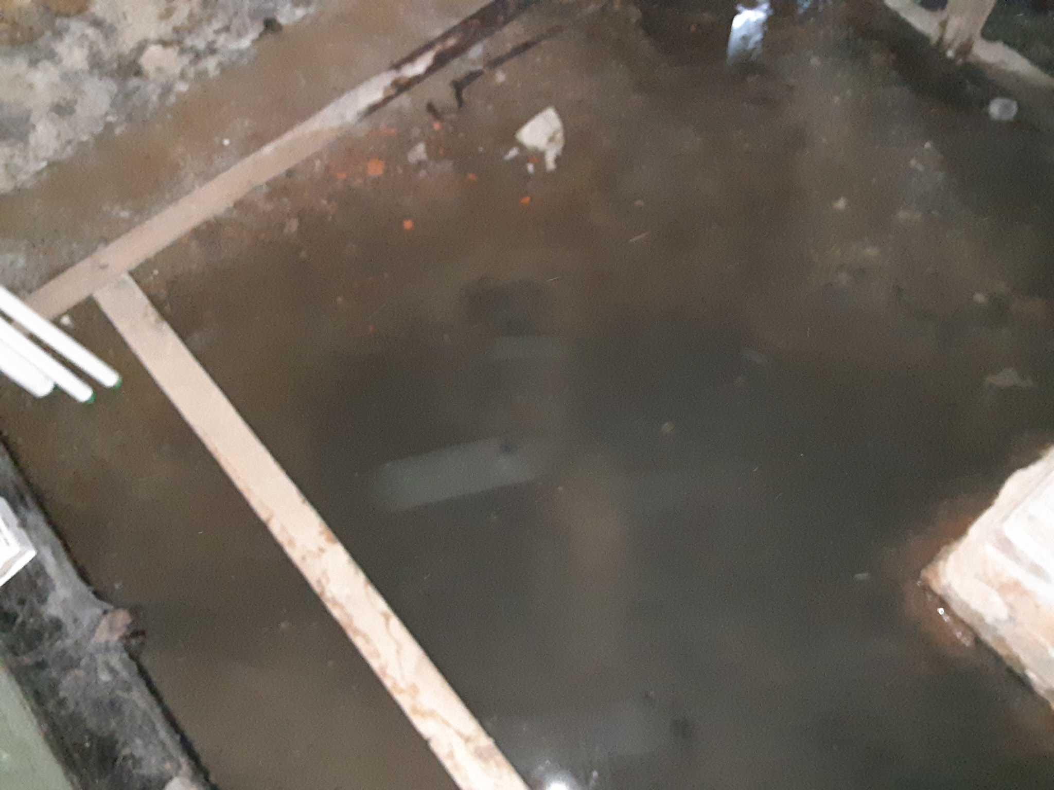 Sewage Backup in Rye Brook, NY
